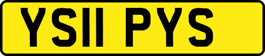 YS11PYS