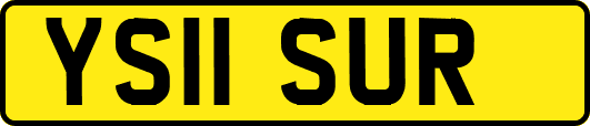 YS11SUR