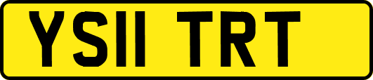 YS11TRT