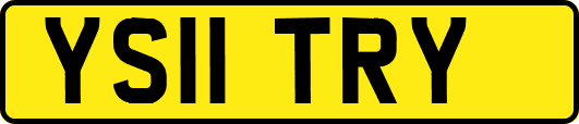 YS11TRY