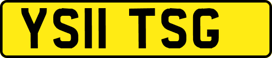 YS11TSG