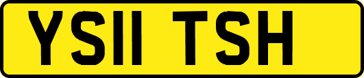 YS11TSH