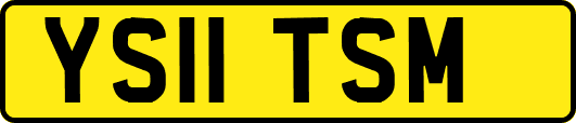 YS11TSM