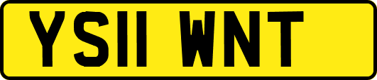 YS11WNT