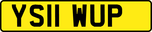 YS11WUP