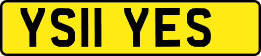 YS11YES