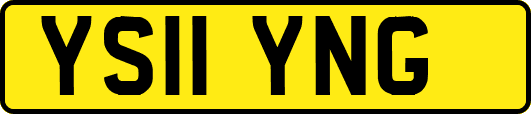 YS11YNG
