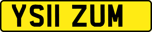 YS11ZUM