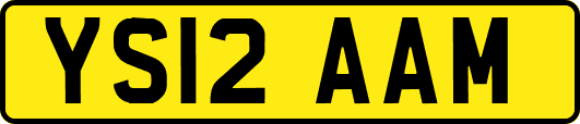 YS12AAM