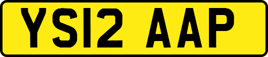 YS12AAP