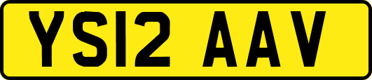 YS12AAV