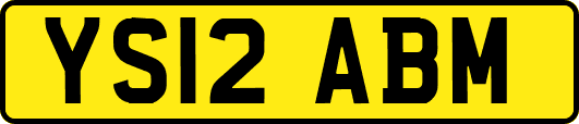 YS12ABM