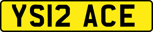 YS12ACE