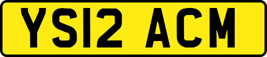 YS12ACM