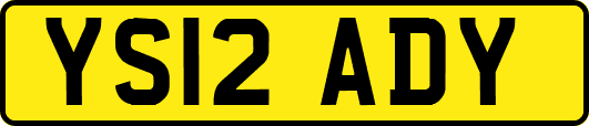 YS12ADY