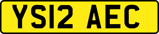 YS12AEC