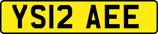 YS12AEE