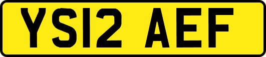 YS12AEF