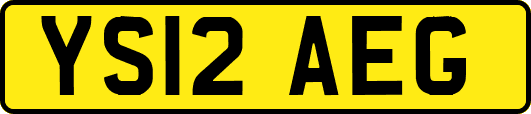 YS12AEG