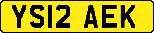 YS12AEK