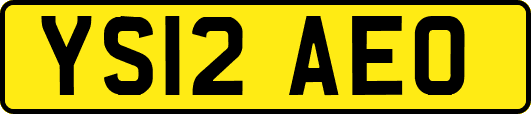 YS12AEO