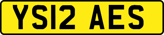 YS12AES