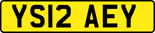 YS12AEY