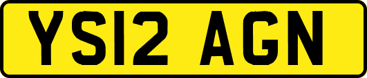 YS12AGN
