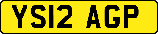 YS12AGP