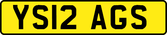 YS12AGS