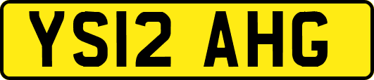 YS12AHG