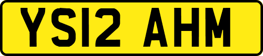 YS12AHM