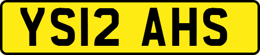 YS12AHS
