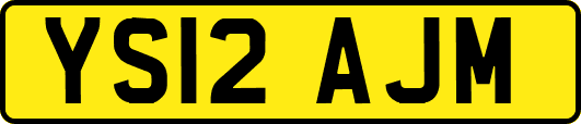 YS12AJM