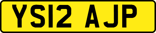 YS12AJP