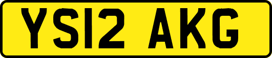 YS12AKG