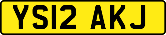 YS12AKJ