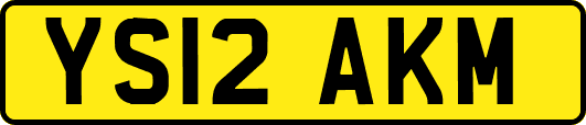 YS12AKM