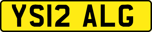 YS12ALG