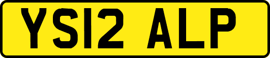 YS12ALP