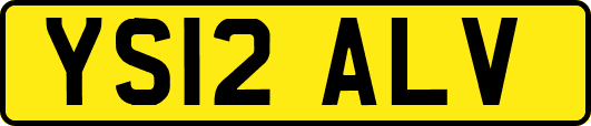 YS12ALV