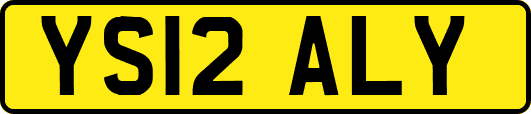YS12ALY