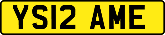 YS12AME