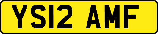 YS12AMF
