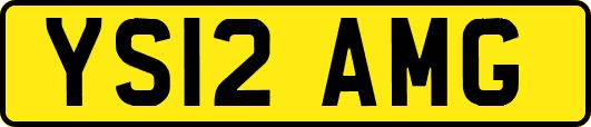 YS12AMG