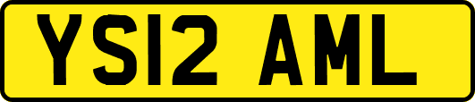 YS12AML