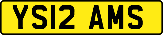 YS12AMS