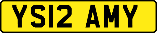 YS12AMY
