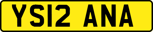 YS12ANA