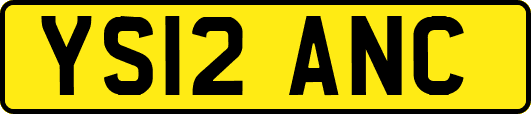 YS12ANC